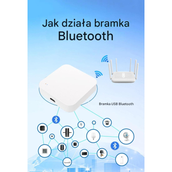 Centrala sterująca bramka Bluetooth Gateway BT03